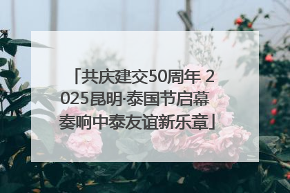共庆建交50周年 2025昆明·泰国节启幕 奏响中泰友谊新乐章