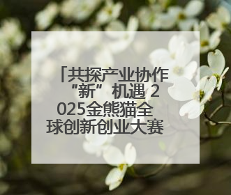 共探产业协作“新”机遇 2025金熊猫全球创新创业大赛启动