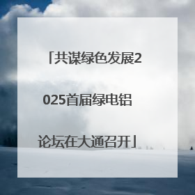 共谋绿色发展2025首届绿电铝论坛在大通召开