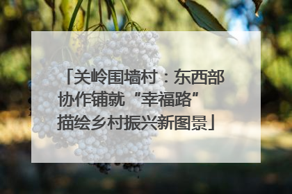 关岭围墙村：东西部协作铺就“幸福路” 描绘乡村振兴新图景