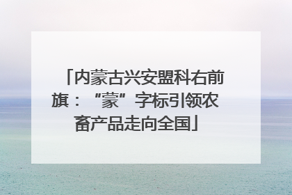 内蒙古兴安盟科右前旗：“蒙”字标引领农畜产品走向全国