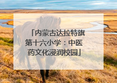 内蒙古达拉特旗第十六小学：中医药文化浸润校园
