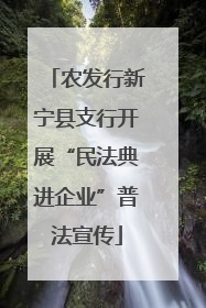 农发行新宁县支行开展“民法典进企业”普法宣传