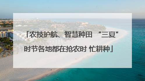 农技护航、智慧种田 “三夏”时节各地都在抢农时 忙耕种