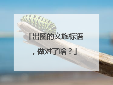 出圈的文旅标语，做对了啥？