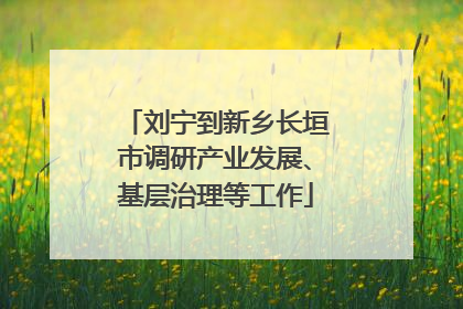 刘宁到新乡长垣市调研产业发展、基层治理等工作