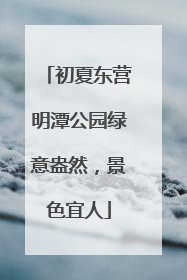 初夏东营明潭公园绿意盎然，景色宜人