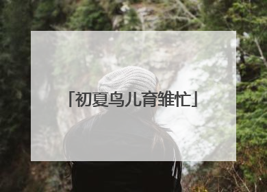 初夏鸟儿育雏忙