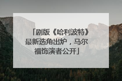剧版《哈利波特》最新选角出炉，马尔福饰演者公开