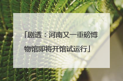 剧透：河南又一重磅博物馆即将开馆试运行
