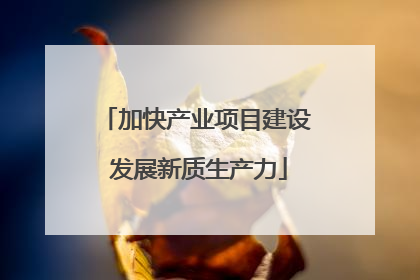 加快产业项目建设 发展新质生产力