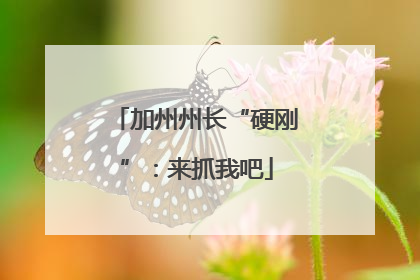 加州州长“硬刚”：来抓我吧