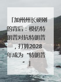 加州州长硬刚的背后：模仿特朗普对抗特朗普，打算2028年成为“特朗普”