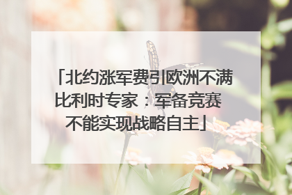 北约涨军费引欧洲不满 比利时专家：军备竞赛不能实现战略自主