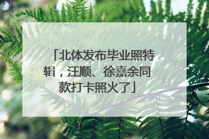 北体发布毕业照特辑，汪顺、徐嘉余同款打卡照火了