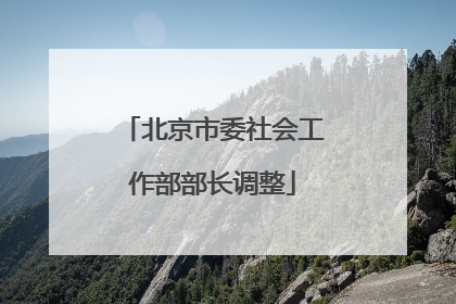 北京市委社会工作部部长调整