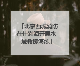 北京西城消防在什刹海开展水域救援演练