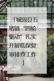 城固县五堵镇“四轮驱动”扎实开展低保复审排查工作