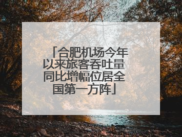 合肥机场今年以来旅客吞吐量同比增幅位居全国第一方阵