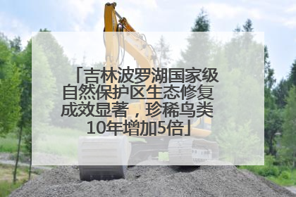 吉林波罗湖国家级自然保护区生态修复成效显著，珍稀鸟类10年增加5倍