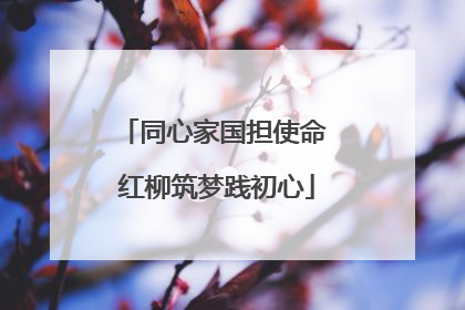 同心家国担使命 红柳筑梦践初心