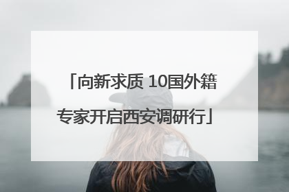 向新求质 10国外籍专家开启西安调研行