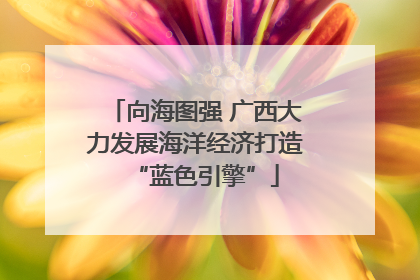 向海图强 广西大力发展海洋经济打造“蓝色引擎”