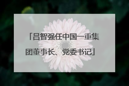吕智强任中国一重集团董事长、党委书记