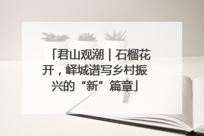 君山观潮｜石榴花开，峄城谱写乡村振兴的“新”篇章