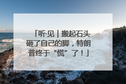 听·见｜搬起石头砸了自己的脚，特朗普终于“慌”了！