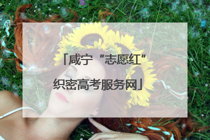 咸宁“志愿红”织密高考服务网