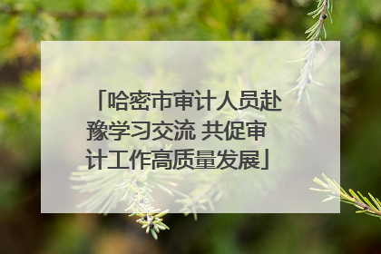 哈密市审计人员赴豫学习交流 共促审计工作高质量发展