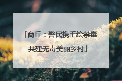 商丘：警民携手绘禁毒 共建无毒美丽乡村