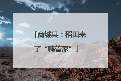 商城县：稻田来了“鸭管家”