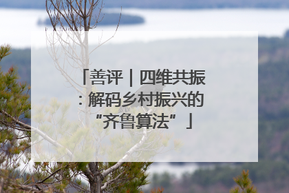 善评｜四维共振：解码乡村振兴的“齐鲁算法”
