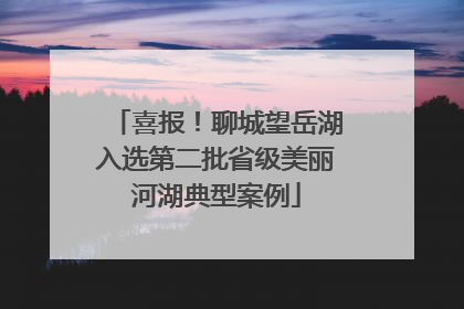 喜报！聊城望岳湖入选第二批省级美丽河湖典型案例