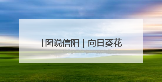 图说信阳｜向日葵花绽放 乡村旅游火热