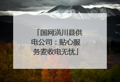 国网潢川县供电公司：贴心服务麦收电无忧