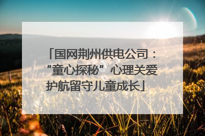 国网荆州供电公司：“童心探秘”心理关爱护航留守儿童成长