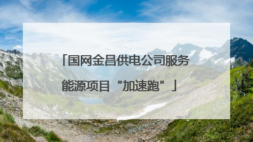 国网金昌供电公司服务能源项目“加速跑”