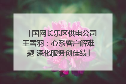 国网长乐区供电公司王雪羽：心系客户解难题 深化服务创佳绩