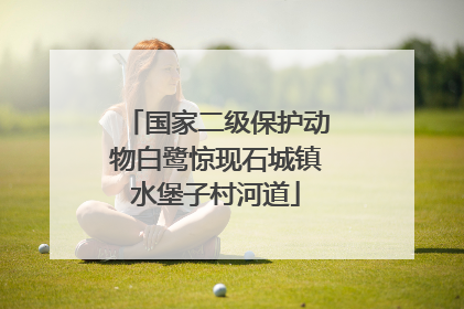 国家二级保护动物白鹭惊现石城镇水堡子村河道