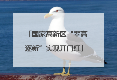国家高新区“攀高逐新”实现开门红