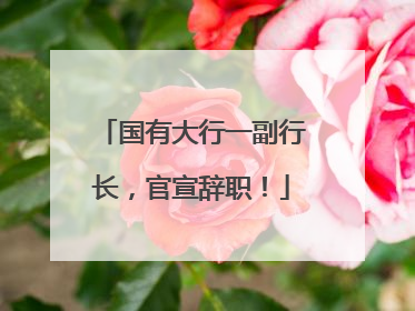 国有大行一副行长，官宣辞职！