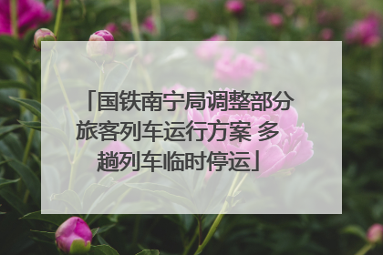 国铁南宁局调整部分旅客列车运行方案 多趟列车临时停运