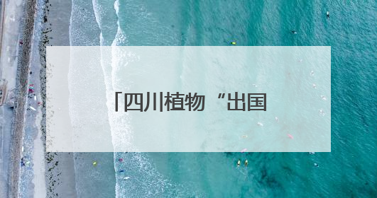 四川植物“出国记” 市民沉浸式体验自然之美