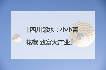 四川邻水：小小青花椒 致富大产业