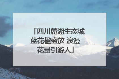 四川麓湖生态城蓝花楹盛放 浪漫花景引游人
