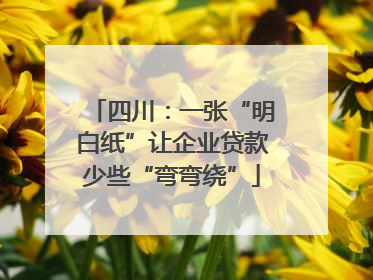 四川：一张“明白纸”让企业贷款少些“弯弯绕”