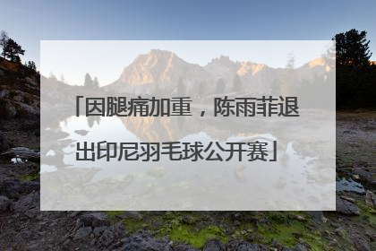 因腿痛加重，陈雨菲退出印尼羽毛球公开赛
